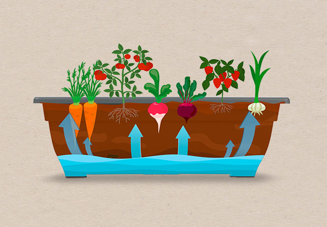 Grow Vertical Garden Planter