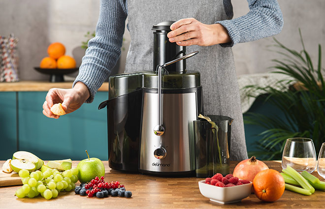 Delimano Powerful Juicer