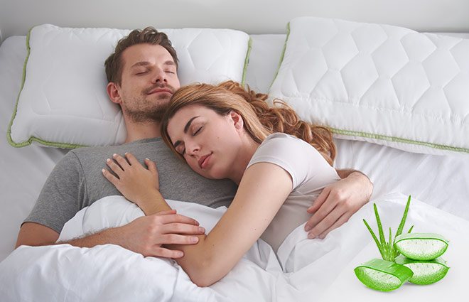 Dormeo Aloe Vera Pillow Classic II Dormeo Aloe Vera Pillow Classic II