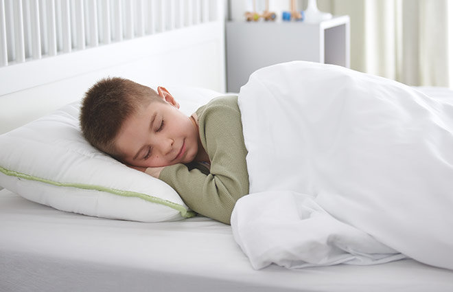 Dormeo Aloe Vera Pillow Classic II Dormeo Aloe Vera Pillow Classic II