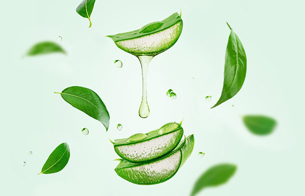 Dormeo Nature's Aloe Vera Topper 5cm Pil II